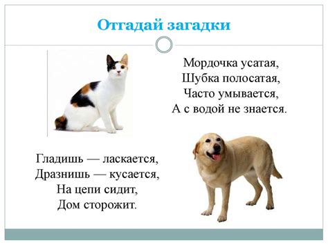 Домашние животные. Лексико-грамматические задания для детей с ОНР ...
