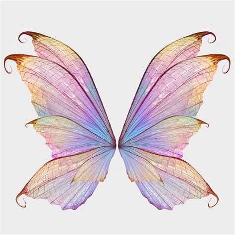 digital fairy gold printable wings high resolution dpi files