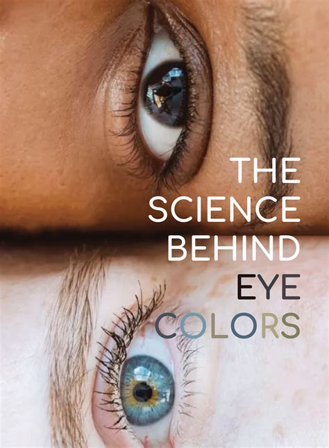 The Science Behind Eye Colors - Jillian Noel Design