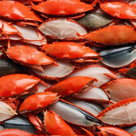 Sourcing Sustainable Crab Meat: Importance and Certification