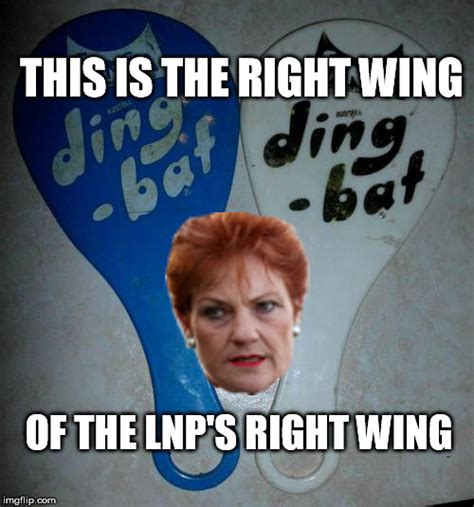 image tagged  pauline hanson imgflip