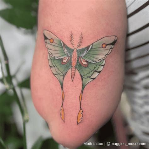 Traditional Moth Tattoo Color