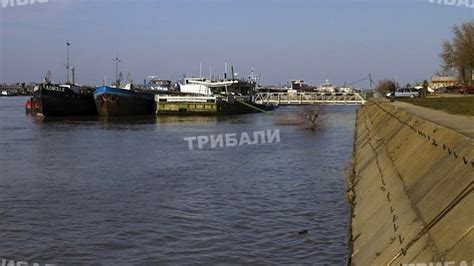 Нивото на Дунав при Видин се е повишило