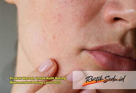 wardah  kulit kering  kusam  laris
