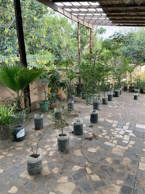 Water Access in Dakar | Reach the World