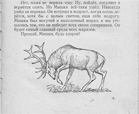 О.Перовская "Ребята и зверята"1957, рисунки В.Ватагина и И.Година ...