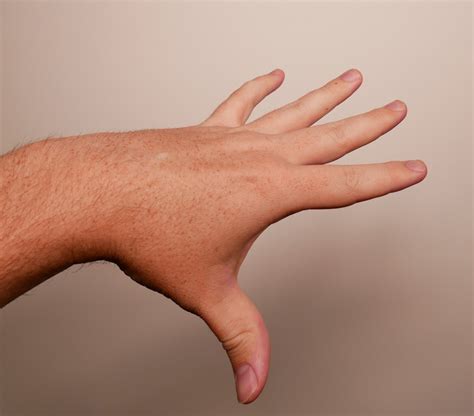Hand Reference Photos for Artists - Draw Paint Academy