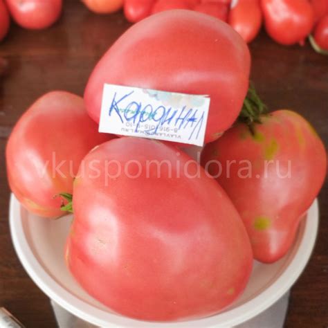 Купить семена томата сорт Кардинал