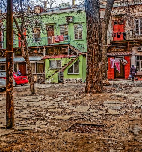 Yard Odessa Tree - Free photo on Pixabay - Pixabay