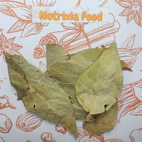 parijatak pan harshringar patta paarijaat leaf parijat leaves