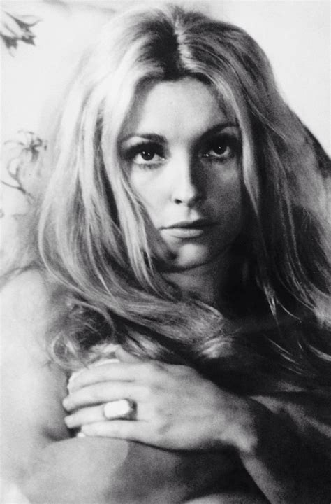 Pin van Vintage Hollywood Classics op Sharon Tate | Hollywood, Klassiek