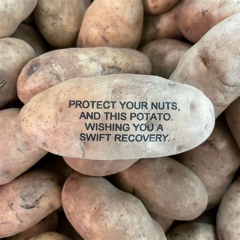 potato parcel net worth