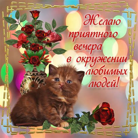 Милая картинка с котиком и цветами - поздравляйте бесплатно на ...