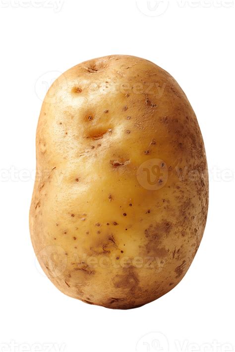 Isolated Single Raw Potato on Transparent Background An Underrated