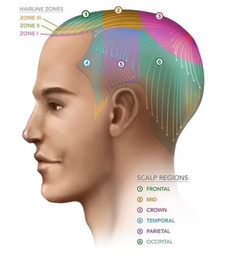 head evolved hair australia