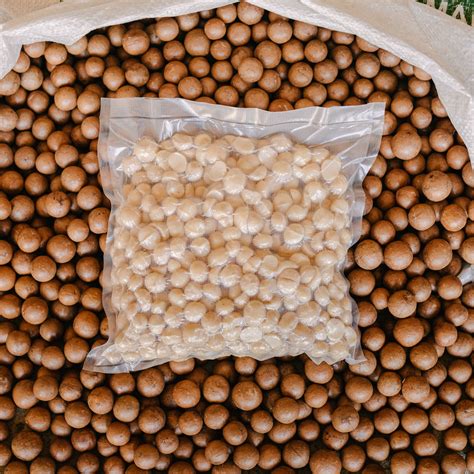 Macadamia nuts - 1 Kg – FootHills Coffee