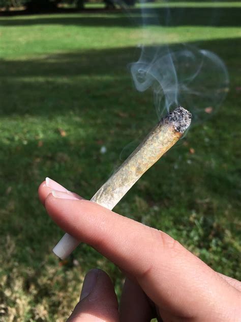 how much weed is in a blunt