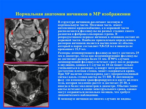 Возможности МР исследований в гинекологической практике - презентация ...