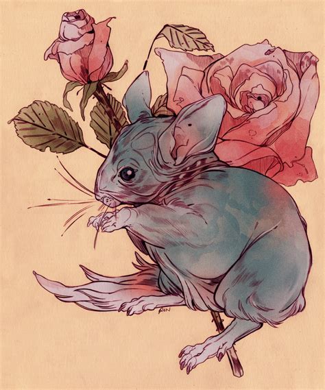 Шиншилла рисунок аниме (66 фото)