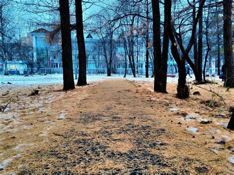 Зима показалась, погостила и смоталась: прогноз погоды в Архангельске ...