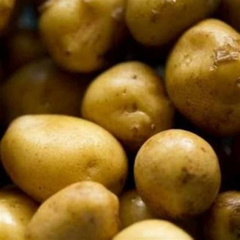 Fresh Potato at ₹ 5/kilogram | Potato in Jaipur | ID: 14793719288