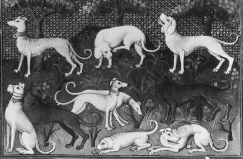 14th Century European family of hunting hounds. Coated medieval ...