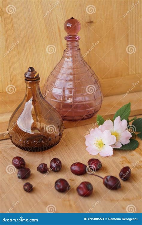 Medicinal Plants - Eglantine Stock Image - Image of fruit, pampering ...