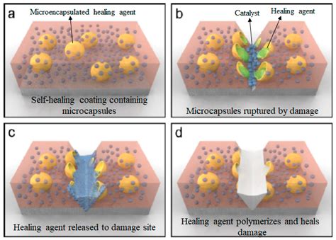 Self Healing Material at Clifford Zak blog