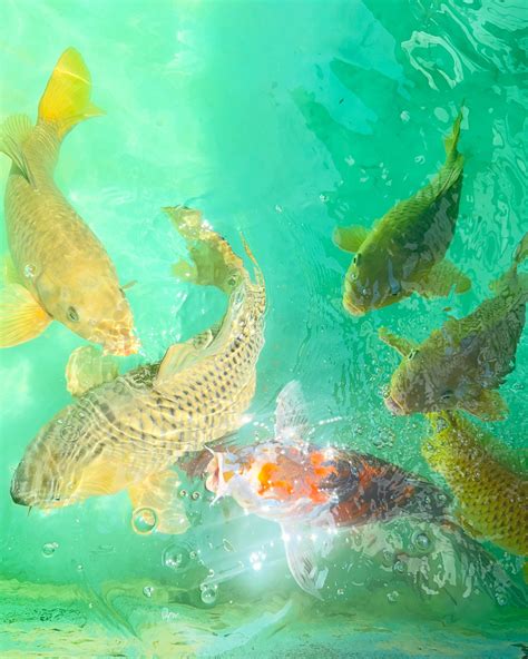 (@maddii_sutton) • Instagram photos and videos