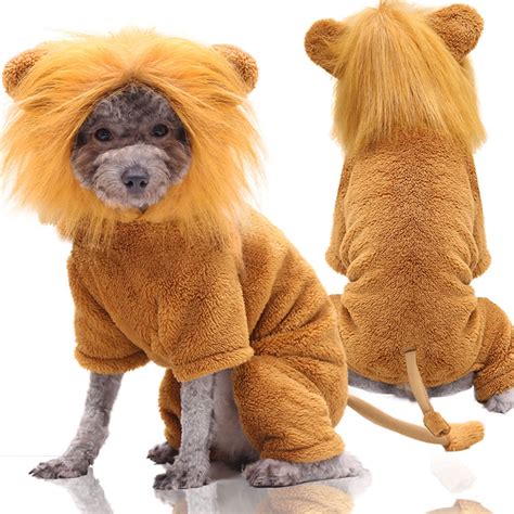 dog lion outfit 3