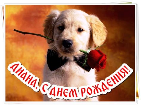 Картинки с Днем рождения, Диана!