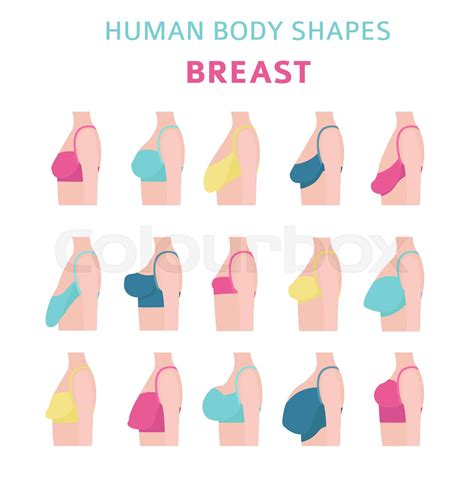 Human body shapes. Woman breast form set. Bra types | Stock vector