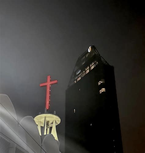 Киви | spotlight | Instagram