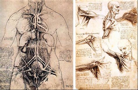 Leonardo Da Vinci Anatomista - Leonardo Da Vinci Anatomista - NAZAEDU