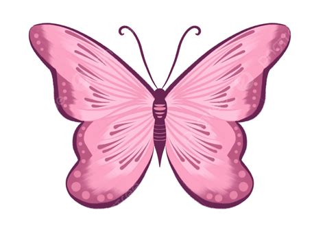Rosa Rosa E Borboleta