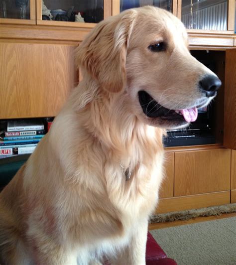 PCH Publishers Clearing House - PCH is always free to enter and free to