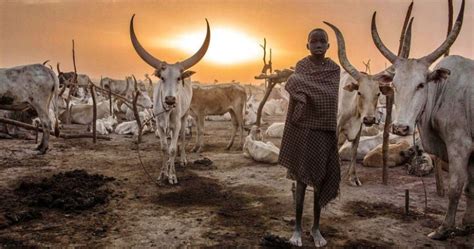 Everyday life of the Dinka people of Africa: women who do not recognize ...