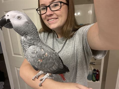 tips for cat biting step by step 9