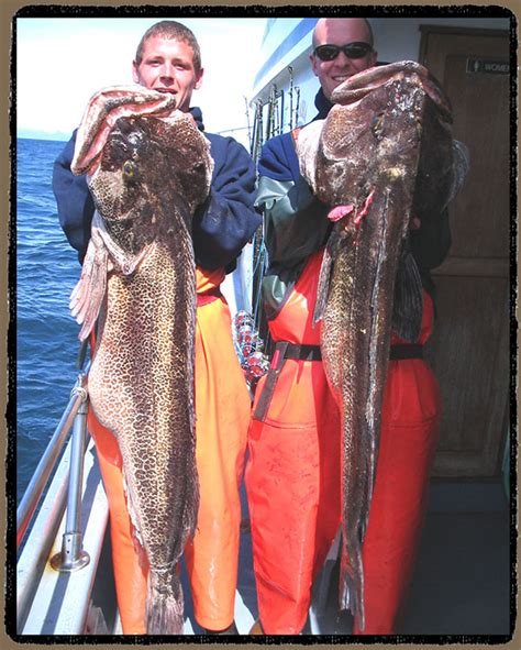 Homer Alaska Fishing Charter- Alaska Fishing Boat Charter