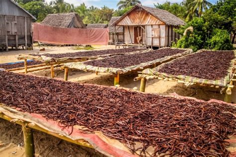 Prova seeking a sustainable balance | Food Business News