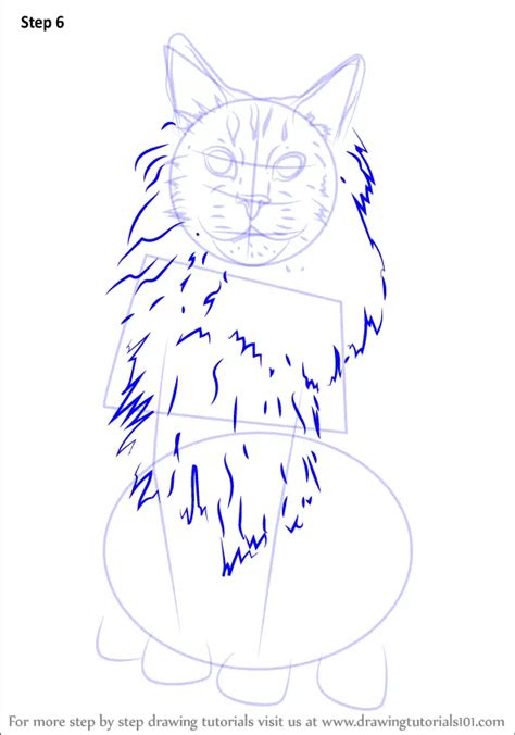 Learn How to Draw a Maine Coon (Cats) Step by Step : Drawing Tutorials