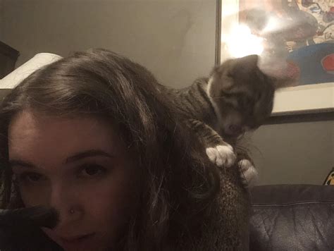 Her favorite place to eat my hair : r/shouldercats