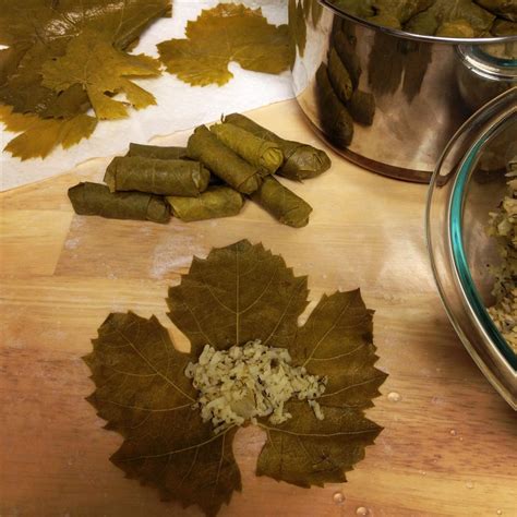 famous stuffed grape leaves recipe allrecipes