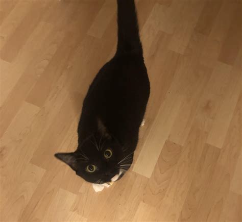 “Mother, I am starving! It’s been an hour since I last ate!” : r/DisneyEyes