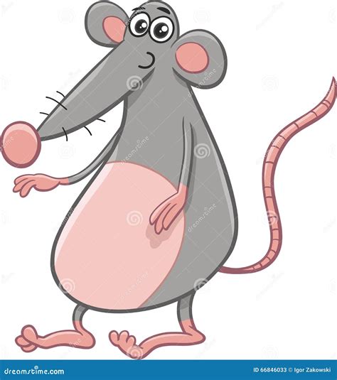 animal cartoon rat 3