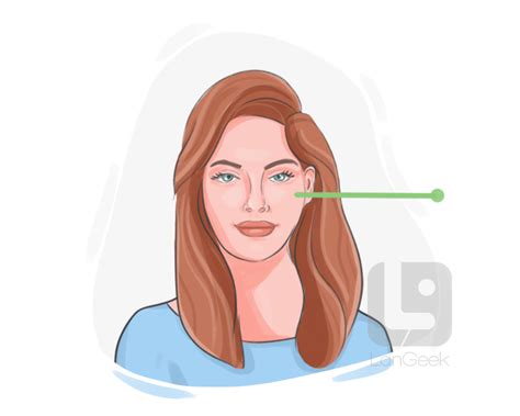 Definition & Meaning of "Cheek" | LanGeek