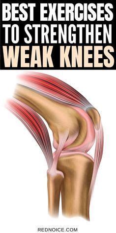 Pin by Knee Health on Knee Naturally Treatment in 2024 | Knee ...