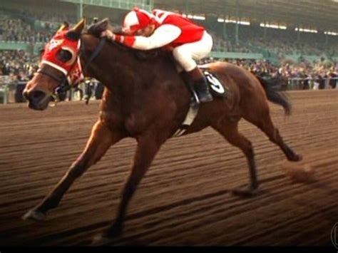 Filmes De Cavalos De Corrida - Vídeo: Mundo das corridas de cavalos rende ótimos filmes e tango ...