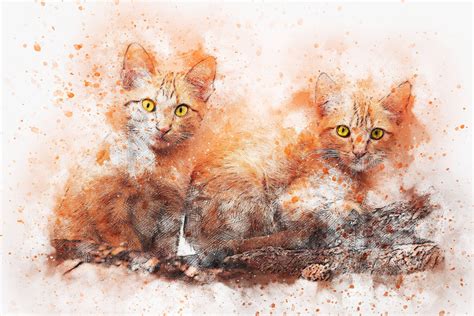 [200+] Cat Art Wallpapers | page 2 | Wallpapers.com