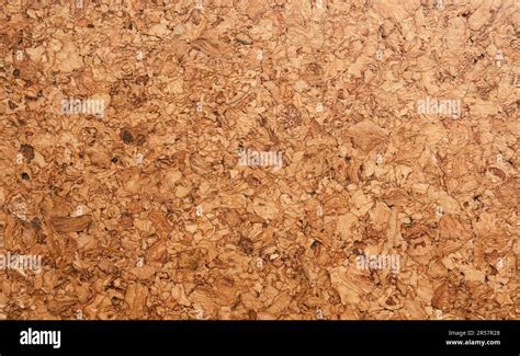 texture  cork flooring close  cork flooring natural living